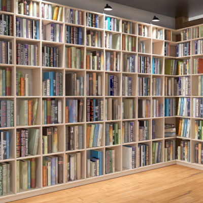 Library Shelving In Your Own Living, Home Library Shelving