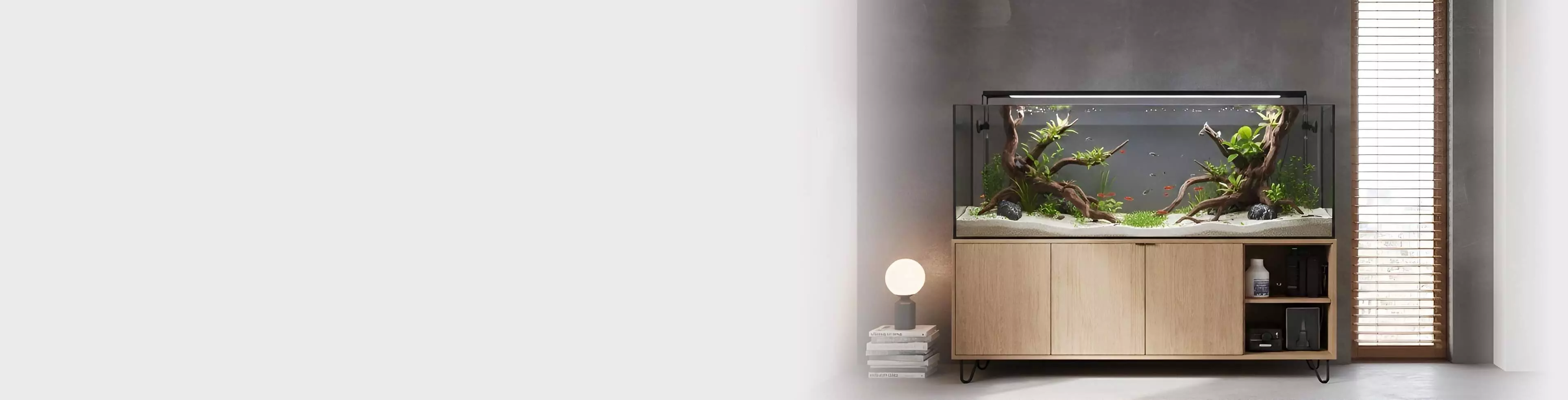 category header background